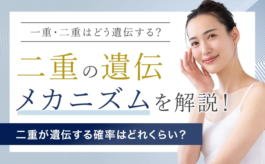 二重が遺伝する確率はどれくらい？一重や二重になる理由とメカニズムを解説