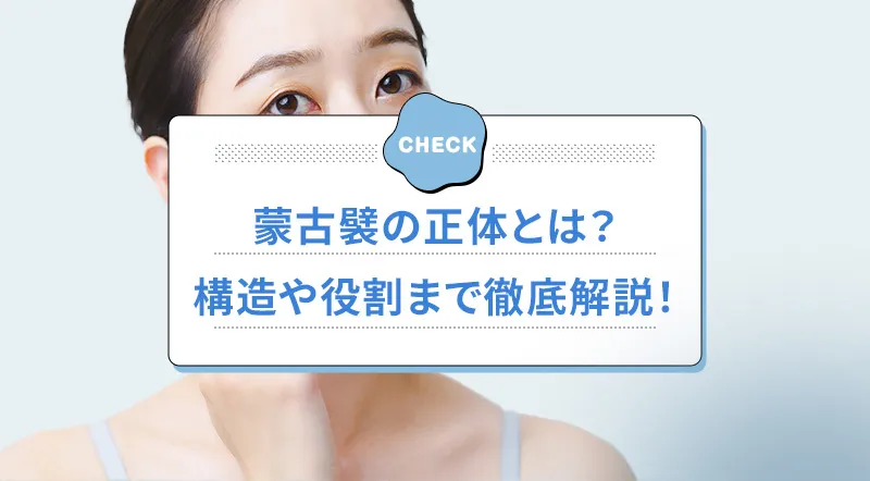 蒙古襞とは？構造や与える印象を解説