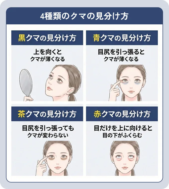 4種類のクマの見分け方