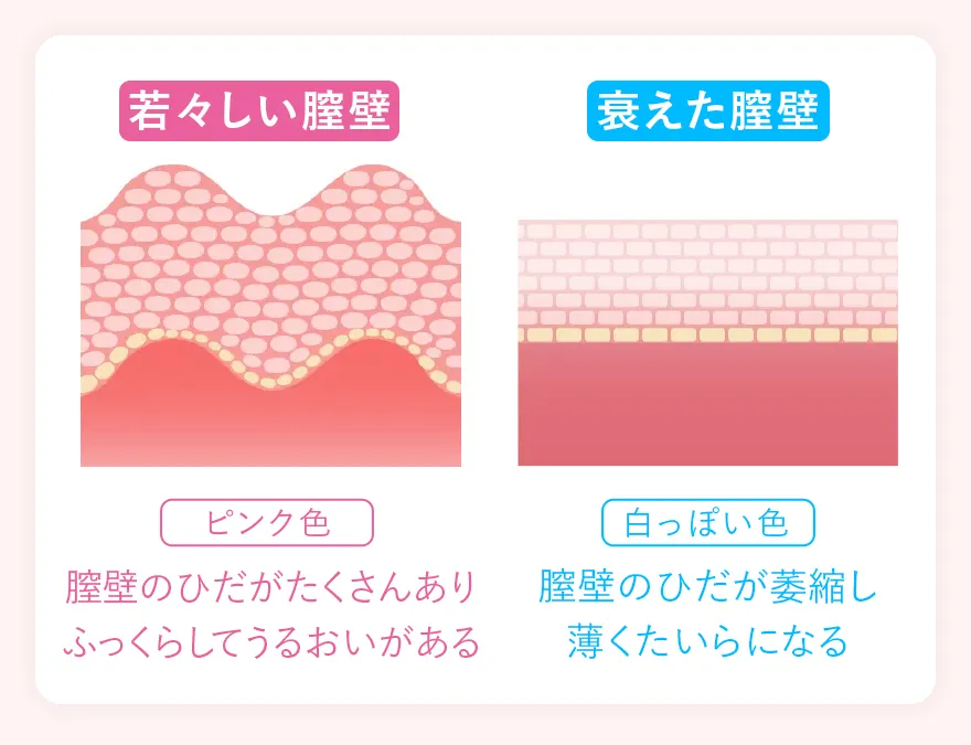 膣壁の状態の違い