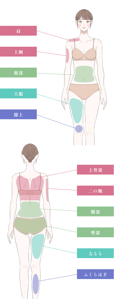 体の適用可能な範囲