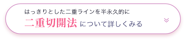 二重切開法について詳しくみる