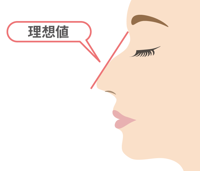 わし鼻の理想の程度