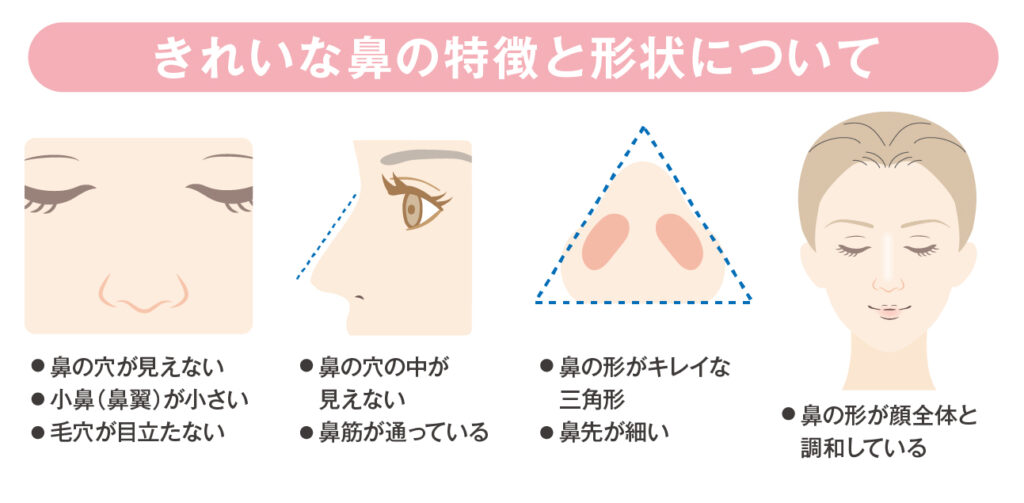 きれいな鼻の特徴と形状ついて